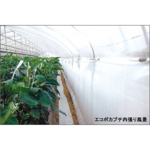 エコポカプチd37L　幅2400mm×50M巻き　2本セット